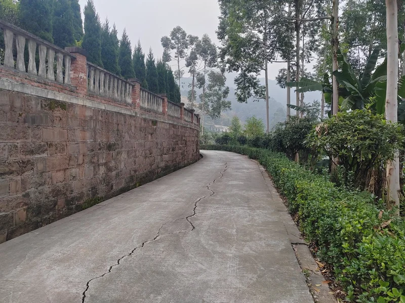 龙台山陵园 缅怀逝者