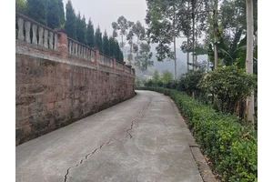 龙台山陵园 缅怀逝者