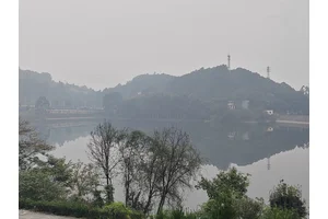 重庆公墓的地址
