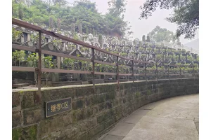 陵园，寻访历史文化遗迹