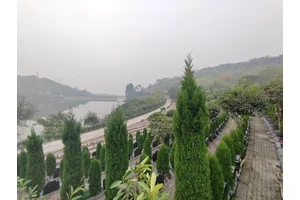陵园周围情况